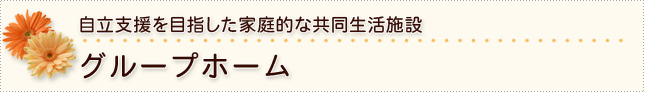 自立支援を目指した家庭的な共同生活施設　グループホーム